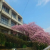 Отель Amimoto Kawazu Hotel, фото 10
