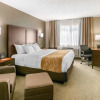 Отель Comfort Inn, фото 21