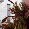 Отель Casa Namaste - Hostel, фото 14