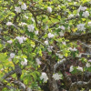 Отель Bauernhof Schmiedbauer, фото 10