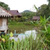 Отель Heun Plai Na Homestay, фото 45