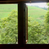 Отель Longsheng Longji International Youth Hostel, фото 7