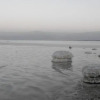 Отель Zimmer Dora Dead Sea, фото 19