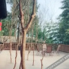 Отель Jiange Xianyun Inn, фото 2