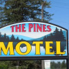 Отель The Pines Motel, фото 29
