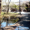 Отель Kamikochi Myojinkan, фото 11