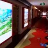 Отель Yunti Hotel, фото 6