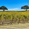 Отель Pleasant Valley Wine Trail Home - Near Paso Robles, фото 20