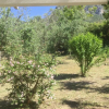 Отель The Cabin, Kyparissia, фото 9