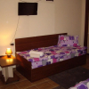 Отель Pri Pesho Inn, фото 21