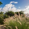 Отель Dream Villa St-Barth Mer Soleil, фото 38