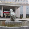 Отель Ningxia Helan Hotel, фото 1