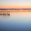 Отель Albufera, фото 28