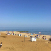 Отель Sandown Seaside Apartment Ground Floor 4, фото 17