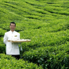 Отель Cameron Highlands Resort, фото 20