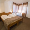 Отель Pensiunea Vladut 2, фото 2