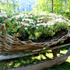 Отель Charme Hotel Uhrerhof Deur, фото 11