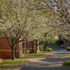 Отель Mount Waverley Townhouses, фото 6