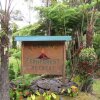 Отель Volcano Fern Forest Retreat, фото 11