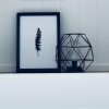 Отель Francisco d'Anconia Tiny House, фото 10