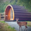 Отель Glendalough Glamping - Adults Only, фото 3