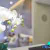 Отель Home Inn Neo (Shanghai Jing'an Zhenning Road), фото 14