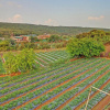 Отель Treebo Berry Hill Venna Lake, 3 Km From City Center, фото 28