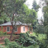 Отель Jungle Valley Resort, фото 1