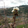 Отель Douro Balcony, фото 17