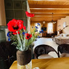 Отель Ubytování - Apartmán Kučerovi, фото 15