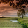 Отель Moyvalley Hotel & Golf Resort, фото 15