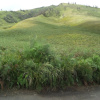 Отель Fredelia Homestay, фото 11