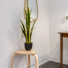 Отель Sarkar Suites - Cumberland Street, фото 12