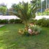 Отель Pallatium Hotel, фото 16