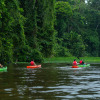 Отель Laguna Lodge Tortuguero, фото 12