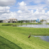 Отель Balmoral Resort Florida, фото 37