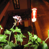 Отель Guesthouse Magic, фото 8