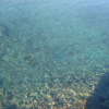 Отель Vesna - 100 m From sea - A3, фото 12
