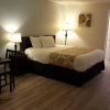 Отель Tricove Inn & Suites, фото 5