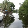 Отель Bamboleo Inn Belize, фото 32