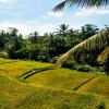 Отель Ubud Green Resort Villas Powered by Archipelago, фото 33
