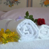 Отель Alle Ginestre B&B, фото 16