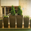 Отель Holiday Inn Birmingham City Centre, an IHG Hotel, фото 23