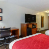Отель Comfort Inn Atkins, фото 7