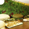 Отель Odyssey ClubHotel Wellness & SPA, фото 14