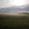 Отель Cayuga Morning Star Bed and Breakfast, фото 4