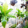 Отель Tainan Twin Cities Homestay, фото 21