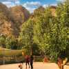 Отель Banjara Camp and Retreat Sangla, фото 39