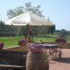 Отель Agriturismo Podere La Marronaia, фото 9