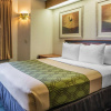 Отель Econo Lodge North Academy, фото 22